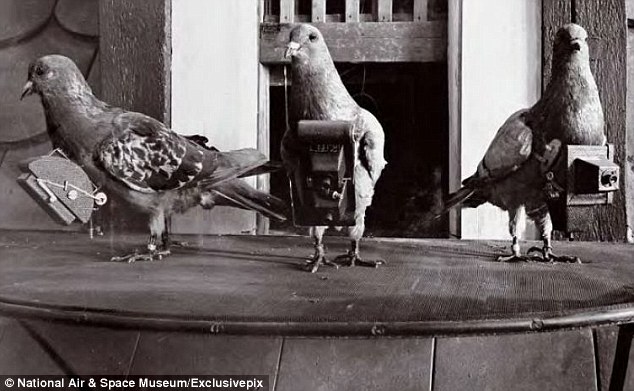 1908年の鳩カメラが撮影した写真が凄い（写真6枚）