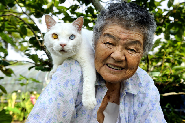 左右で眼の色の違うネコを飼うお婆ちゃんとネコ（写真）
