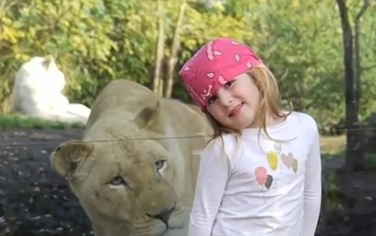 少女の背後にライオン接近、危ない、逃げてー！（動画）