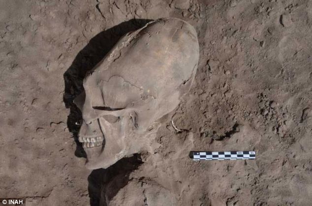 メキシコで発見された1000年前の人骨がまるでエイリアンのようだ(写真9枚)