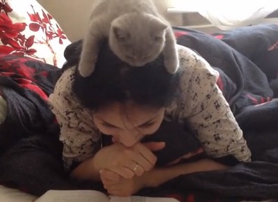 ロシアのネコ、女性の頭の上に乗り、読書に励む（動画）