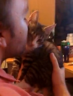 男性のキスを嫌がる子猫（動画）