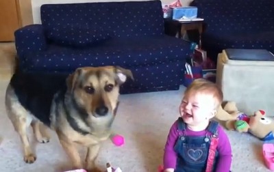 シャボン玉を食べるイヌを見て、赤ちゃん大爆笑（動画）