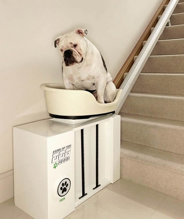 elevators-for-obese-dogs04