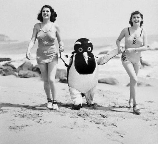 wtf-hilarious-vintage-old-timey-black-and-white-photos25