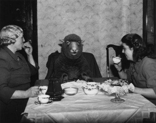 wtf-hilarious-vintage-old-timey-black-and-white-photos2