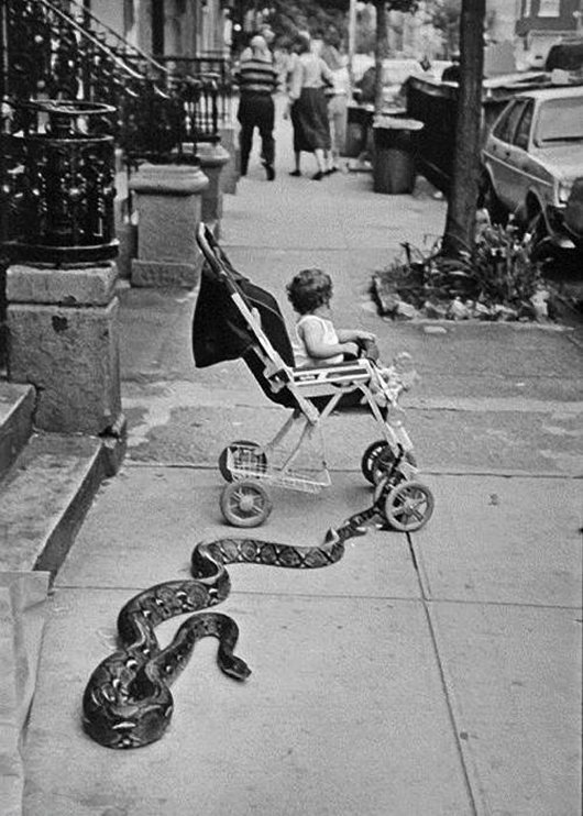 wtf-hilarious-vintage-old-timey-black-and-white-photos16