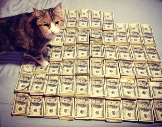 a_few_very_wealthy_cats_640_15